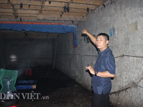 Anh Võ giới thiệu cho PV những tổ yến trong căn nhà của mình. Ảnh: Văn Long.